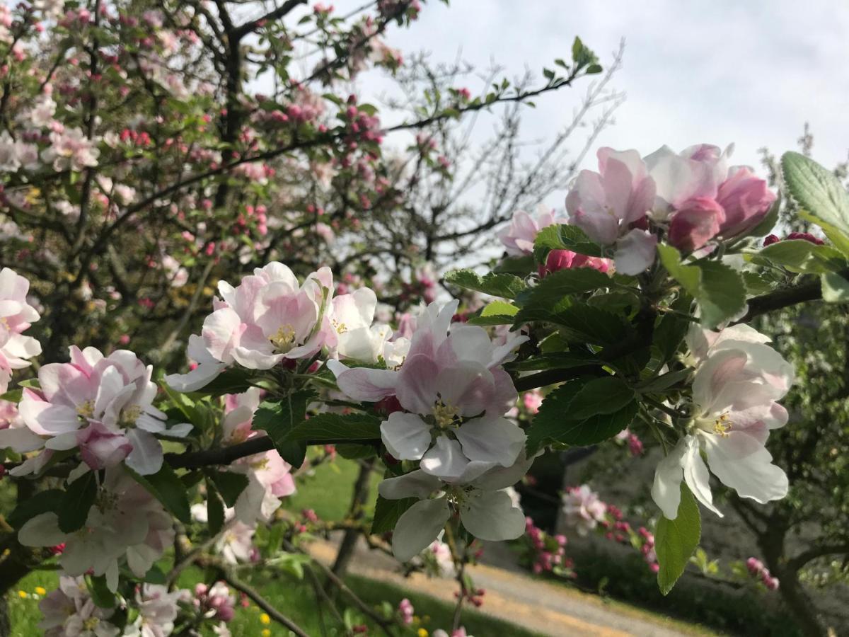 Normandia Villa Nonant Dış mekan fotoğraf